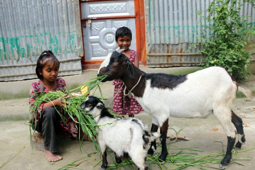 Lipi and her sister with their goats